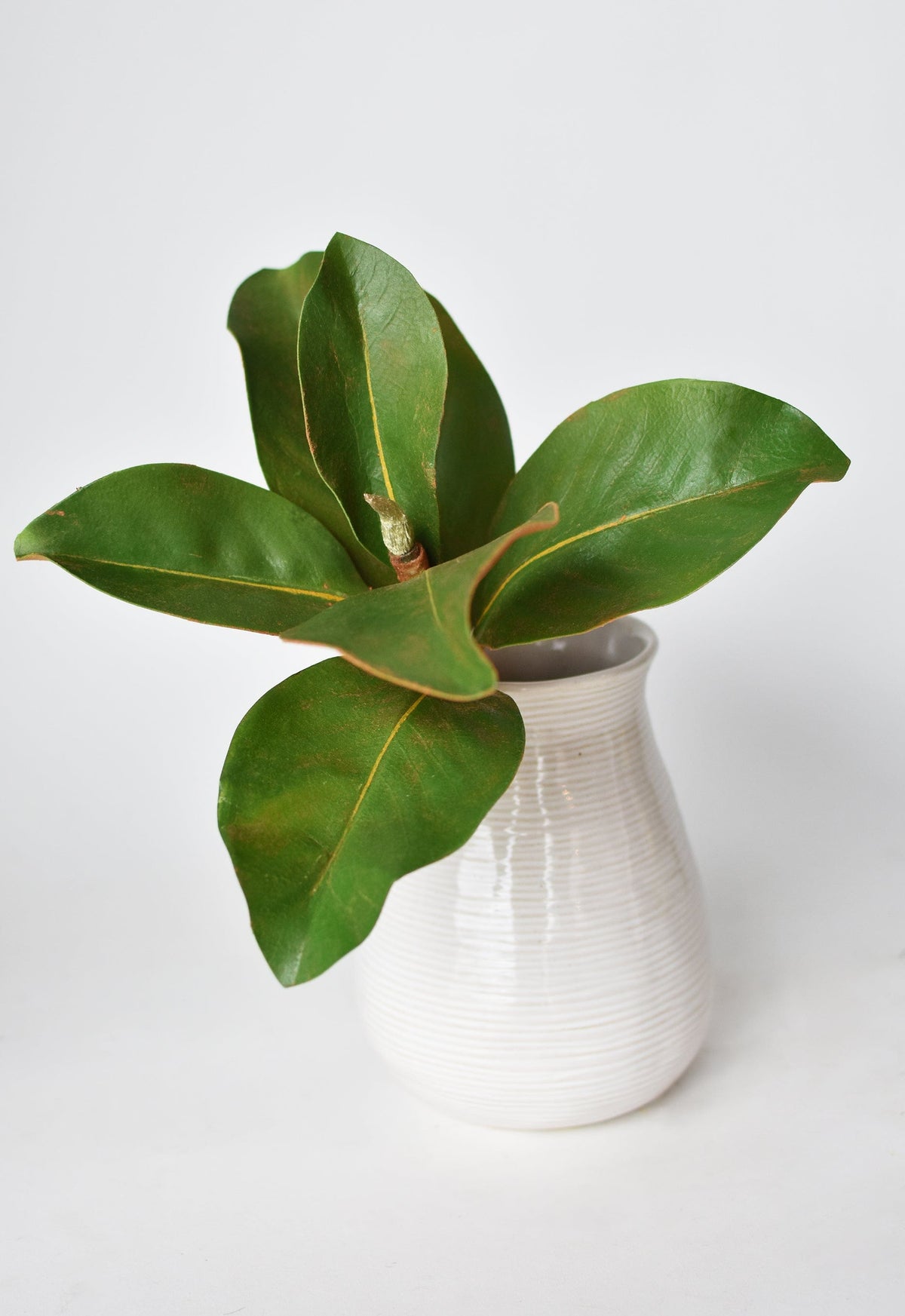 14" Faux Magnolia Leaf Stem